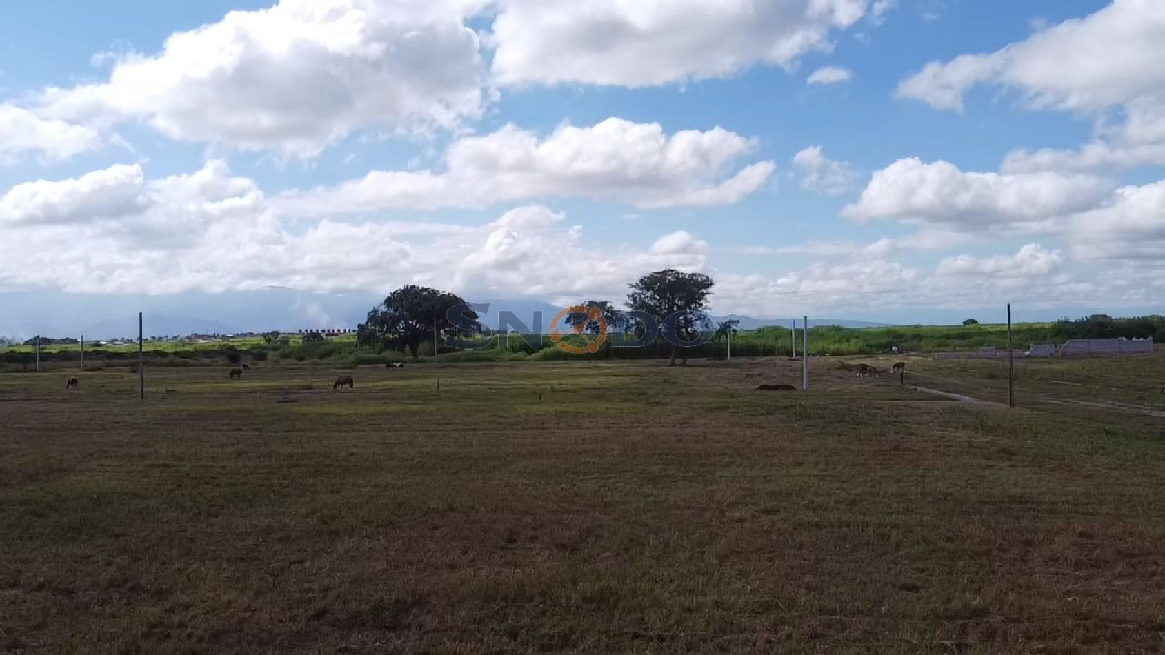 Loteo La Herradura -Los Alisos-