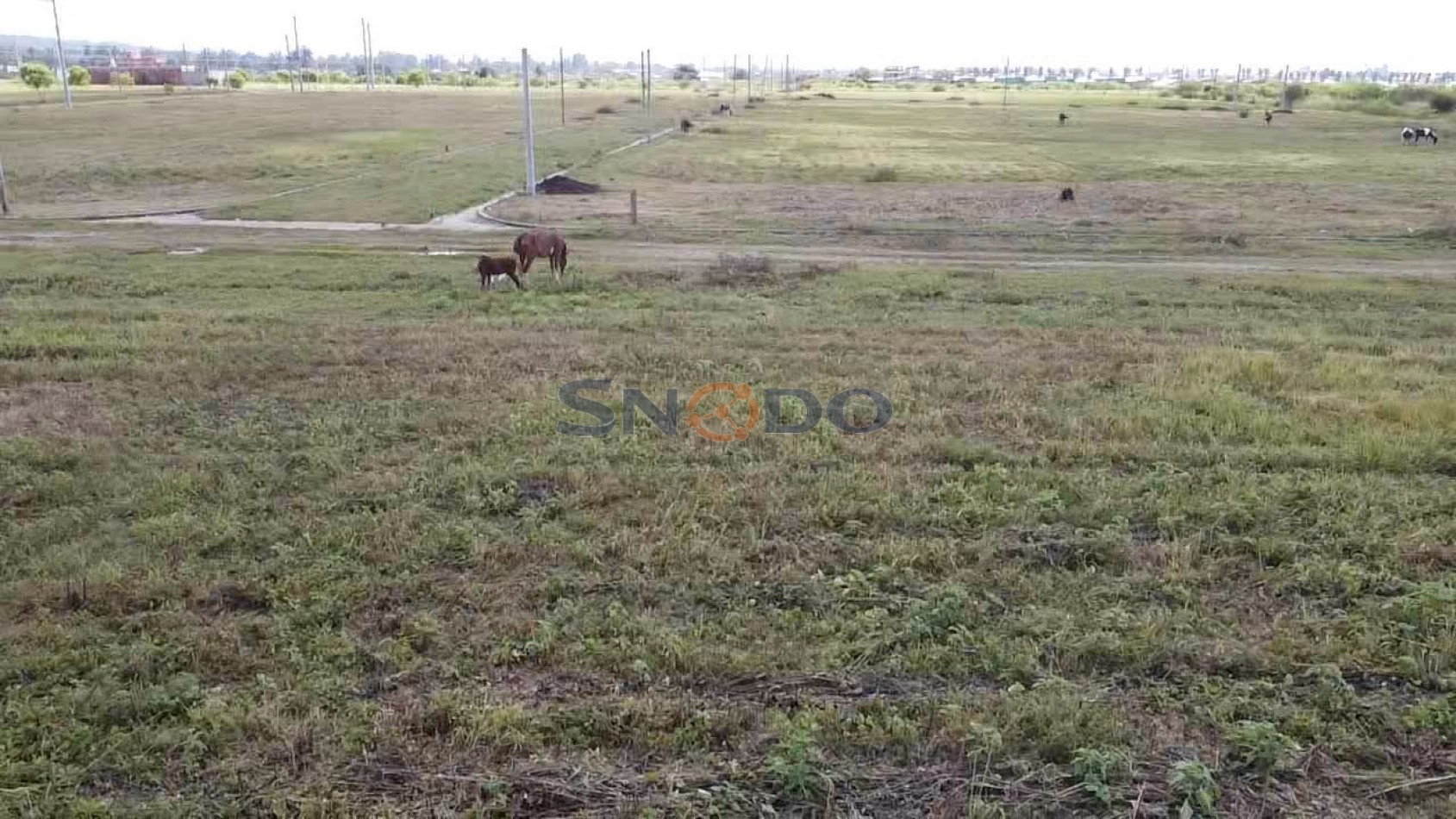 Loteo La Herradura -Los Alisos-